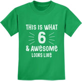 This Is What 6 & Awesome Looks like Six Year Old Birthday Youth Kids T-Shirt
